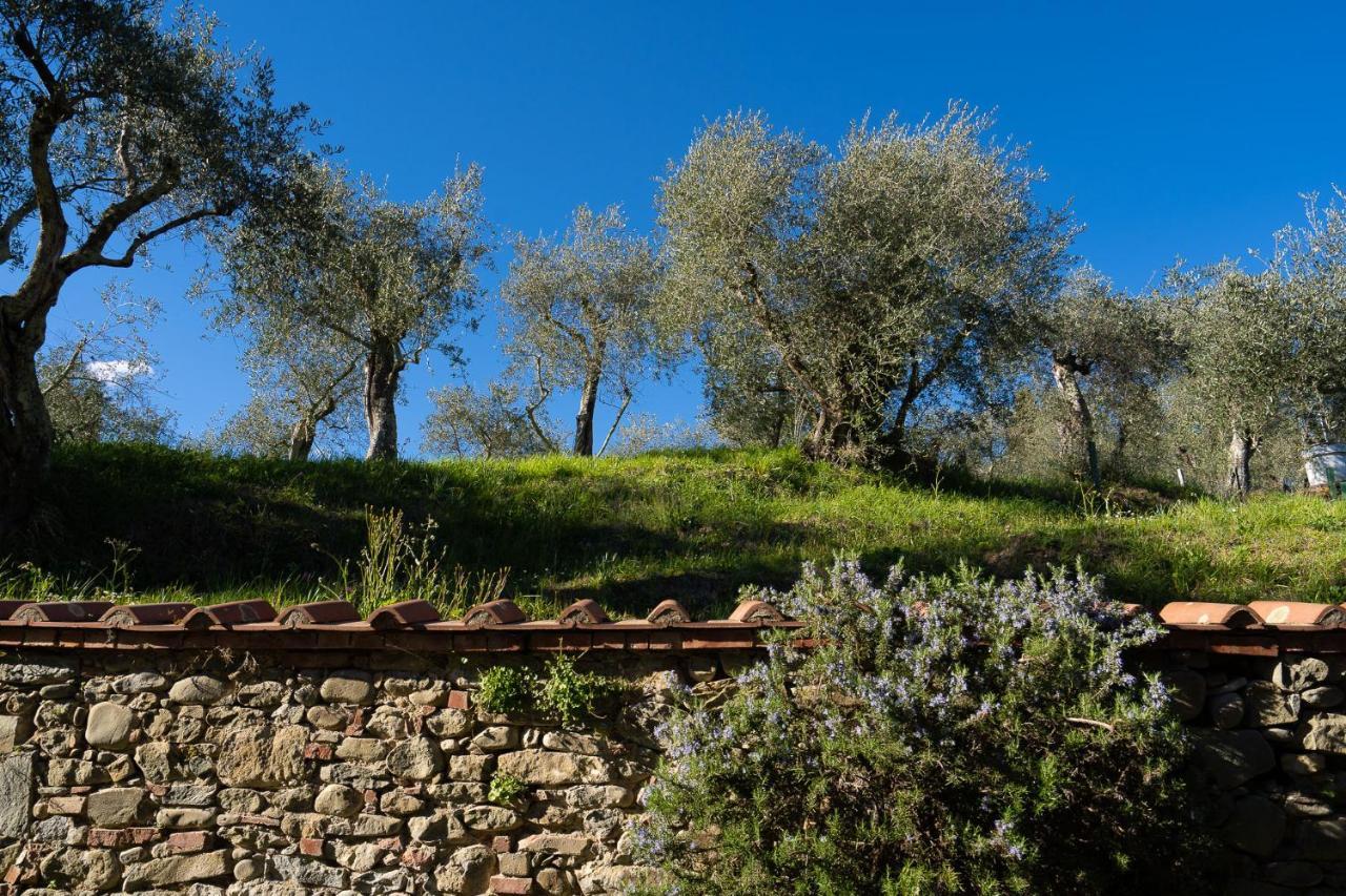 Alloggi In Villa Storica Pescia Exteriör bild