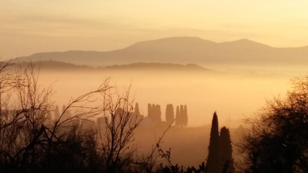 Alloggi In Villa Storica Pescia Rum bild